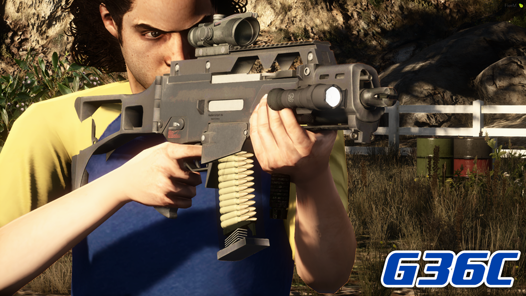 G36C Rifle