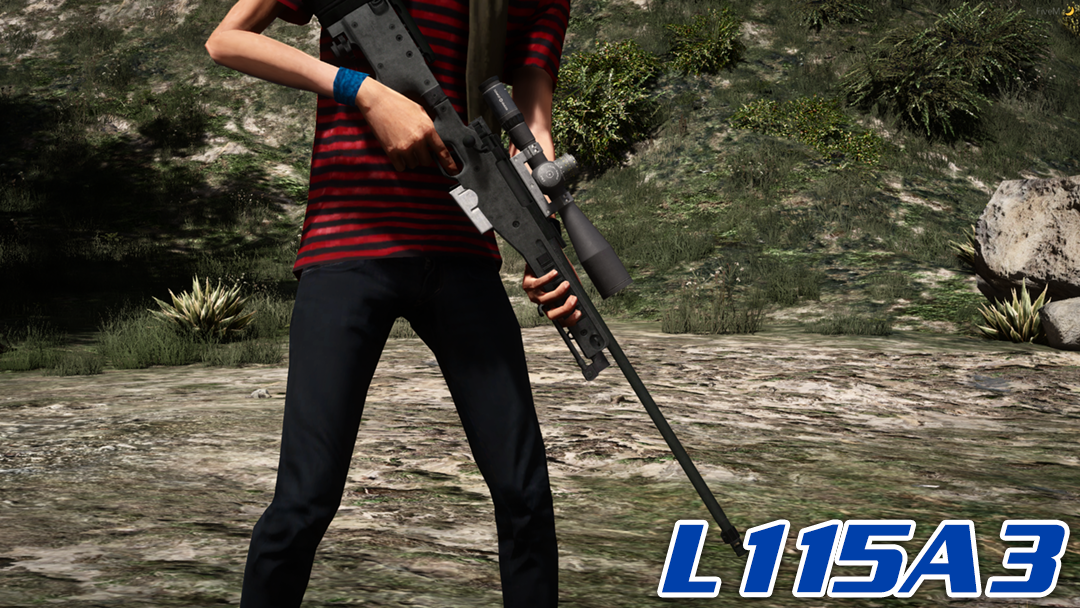 Accuracy International L115A3