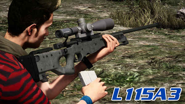 Accuracy International L115A3